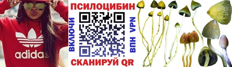 маркетплейс формула  Стародуб  Псилоцибиновые грибы MAGIC MUSHROOMS  блэк спрут зеркало 